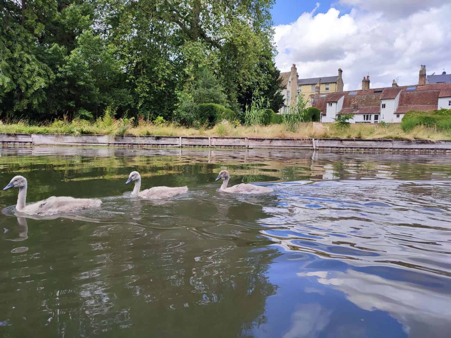 View from River Cam in Cambridge